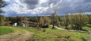 Mobil home dans camping 3 étoiles