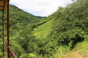 Modular House Green Zyland Gamma