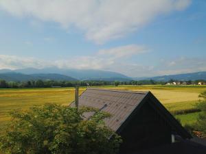 Tiny House Spielberg