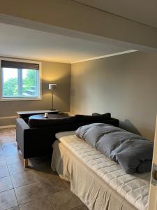 Hybel leilighet på Rosanes, Teie