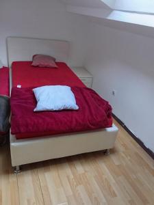 Sejours chez l'habitant Room chambre Zimmer in einer Wohnung : photos des chambres