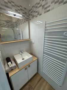 Appartements Panther Carre de Soie Medipole Astroballe : photos des chambres