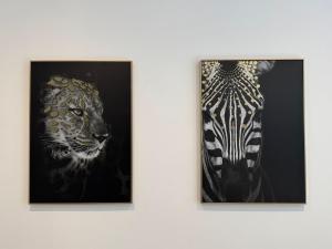 Appartements Panther Carre de Soie Medipole Astroballe : photos des chambres