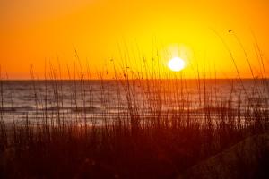 201 Turtle Lane at The Sea Pines Resort