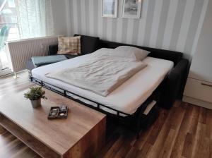 Deichläufer im Haus Tina