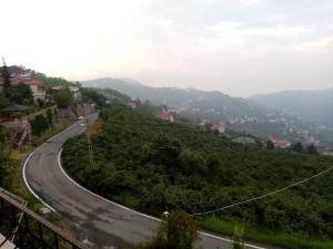 Trabzon Gürbulakta kiralık villa