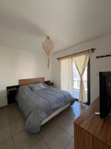 Departamento Alta Mendoza challao