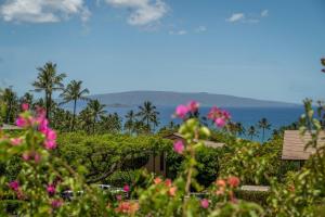 Wailea Ekahi 17E