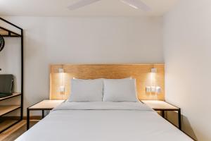 Pájaros By Homirent