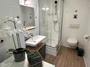 HAG- 3 Zimmer - hochwertig eingerichtet - zentral - ruhig - self-checkin- voll ausgestattet