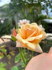 Rustic Retreat 3 bd2 bth - Large Family Game Area