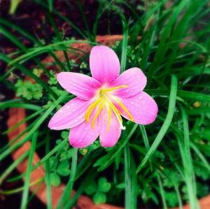 Secluded Riverfront Home - Boquete area with Pool