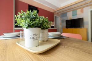 Papiniano by Wynwood House