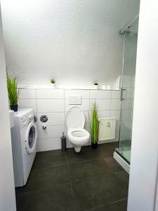 Schwert City Loft S65