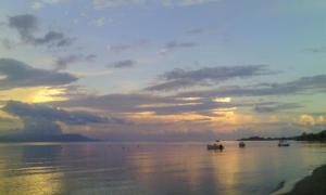 Oliveland Apartments