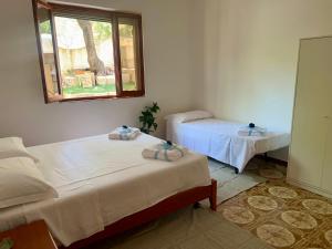 Il Balenottero img22