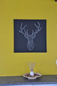 Villa Pluimstaart - Sunclass 55