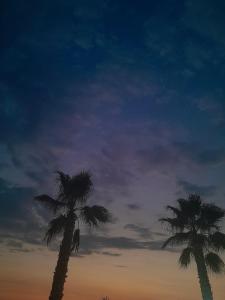 White Arena Apartments GOLEM