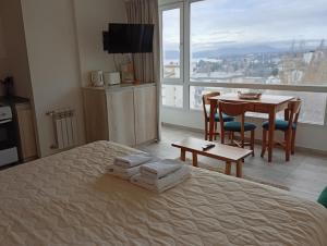 Monoambiente Panoramic