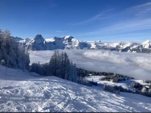 Hike & Ski-in Ski-out Mountain View Apartment for Family & Friends