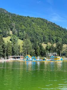 Chalet avec sauna et proximité pistes ski sur PRAZ SUR ARLY