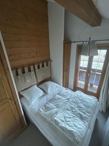 Chalet avec sauna et proximité pistes ski sur PRAZ SUR ARLY