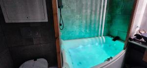 Appartements Duplex balneo cosy proche CDG et Stade de France : photos des chambres