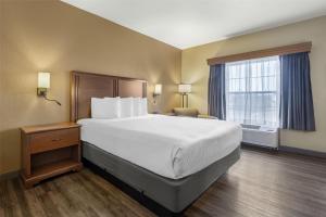 King Room - Pet-Friendly/Non-Smoking room in Best Western Woodburn Inn