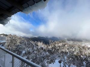 Elkhorn 7 AMS Mt Buller