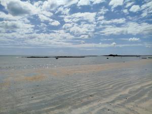 Casa obster barrinha