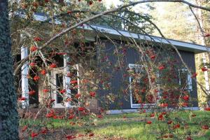 Rabamaja ja Rabasaun