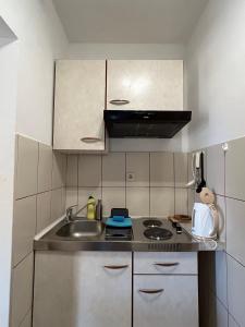 Apartments with parking space Orebic, Peljesac - 10082