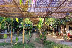 Phonluer Angkor Homestay,