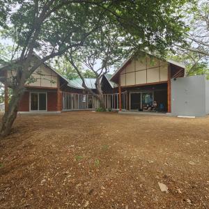 Bamboo C House