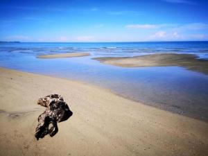 Appartements Apartment in Moriani-Plage by Sandy Beach : photos des chambres
