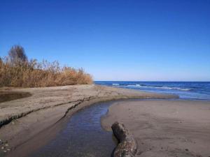 Appartements Apartment in Moriani-Plage by Sandy Beach : photos des chambres