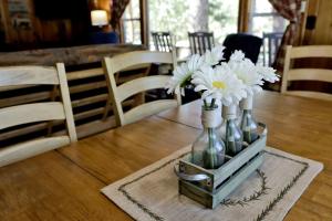 Bear cub cabin #2069
