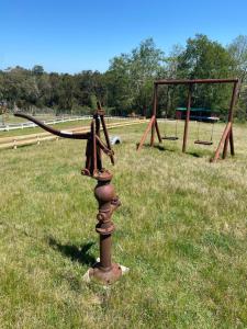 Cabaña Parcela Nativo