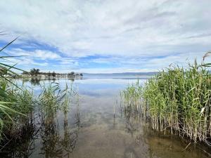 Cudgeree Tiny for Two