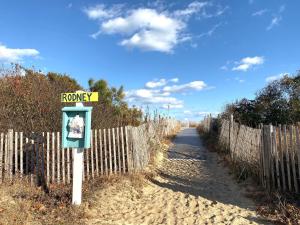 Rodney Avenue 8B