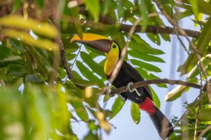 Casa Ballena with Beach Access and Private Pool