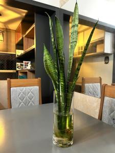 Apart Zen Santa Inês