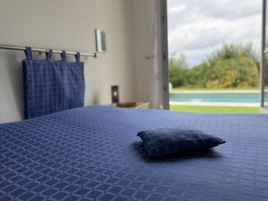 Villas Maison familiale avec piscine privee et animaux admis a Saint-Mesmin - FR-1-839-10 : photos des chambres