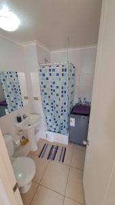 Aníbal Pinto Apartment 2D 2B