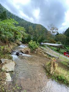 Glamping Azalea Tawangmangu