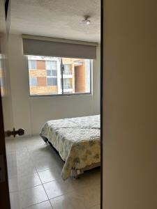 Ibagué ciudad musical