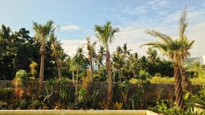 Villa Cactus is far from home but like your home Villa Cactus 3 BR isnt just a tropical villa in the heart of a coconut grove its a feeling Next door Villa Sungai also offers 2 BR and 1 Bungalow Ability to accommodate 12 people