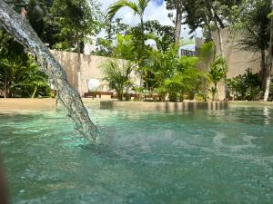 Loft Selva Maya en Nayal