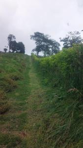 Villa Ernestina Zona De Camping