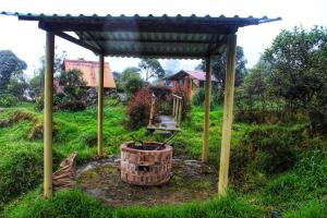 Bus completamente amoblado